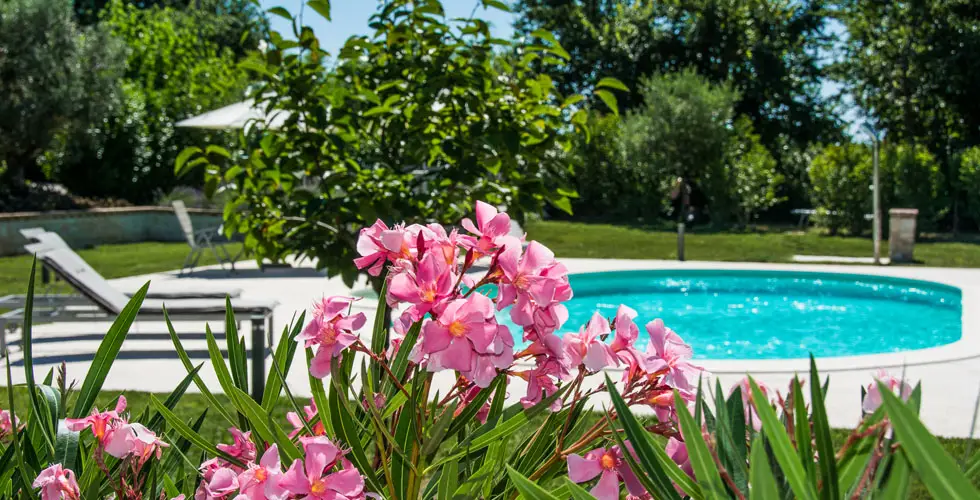 air_slide_show_home_0036