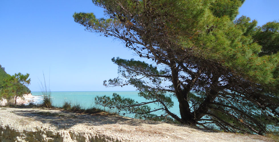 air_slide_show_conero_0075
